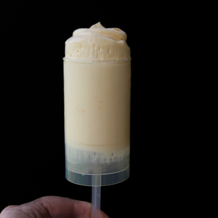 Creamsicle Bavarian Cream Push Pop